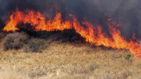 Repunte de incendios de pastizales en Yecapixtla enciende alertas de Protección Civil; pirotecnia y quemas elevan el riesgo en zonas habitadas.