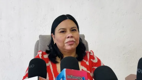 Fiscalía Ambiental de Cuernavaca investiga denuncias por abandono y maltrato de perros en vía pública; exhortan a denunciar formalmente.