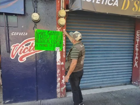 Exhortan a municipios de Morelos a prohibir la venta de animales en carnavales; advierten sanciones por violar la Ley Fauna.