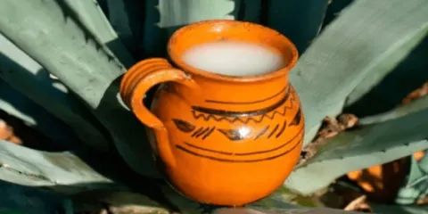 Día del Pulque