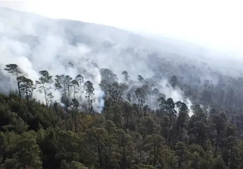 Protección Civil de Morelos informó que en 2026 se han registrado cerca de 75 incendios forestales; febrero y marzo concentran más siniestros.