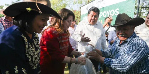 Plan Integral de Fortalecimiento Productivo de las Palapas de Coatetelco