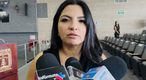 La diputada Melissa Montes de Oca informó que el Congreso de Morelos prevé aprobar la Ley de violencia política y tipificar la violencia institucional en el Código Penal estatal.