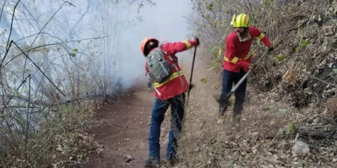 Tlayacapan refuerza acciones contra incendios forestales y llama a denunciar responsables