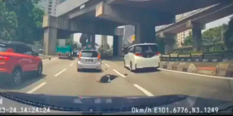 VIDEO.  Peatona distraída con el celular es arrollada por motociclista a alta velocidad