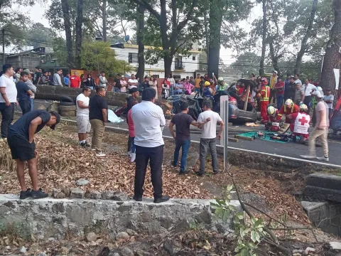 Caída de árbol en la carretera México-Cuernavaca, en Huitzilac, deja tres muertos y un lesionado; autoridades investigan.