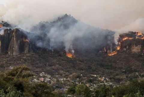 Protección Civil reporta 115 incendios forestales en 2026, cifra menor a años anteriores en Morelos.
