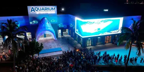 Aquarium del Puerto de Veracruz: 30 años de historia, turismo y mar