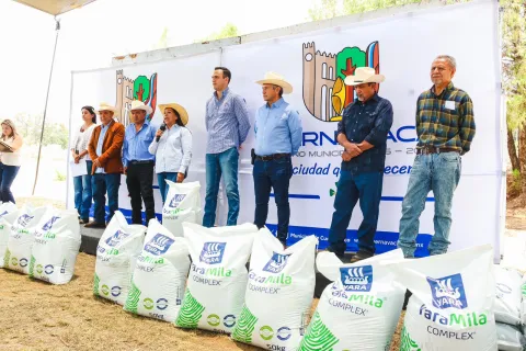 El Ayuntamiento de Cuernavaca entregó apoyos a 221 productores de aguacate con fertilizantes y geomembranas para fortalecer el campo.