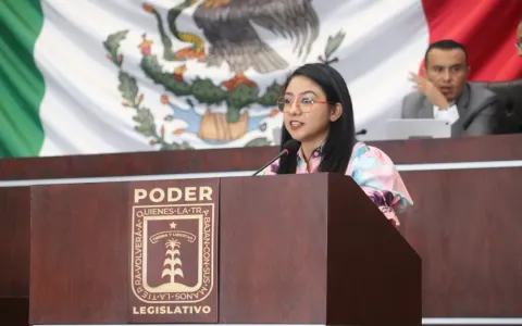 diputada brenda espinoza 