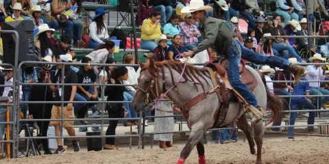 Selección de Morelos de rodeo participa en Olimpiada Nacional Conade 2026 en San Luis Potosí