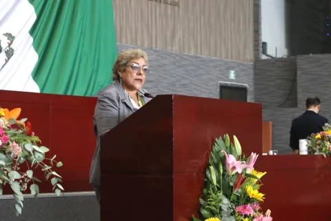 Diputada Ruth 