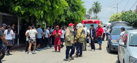 ataque de abejas 