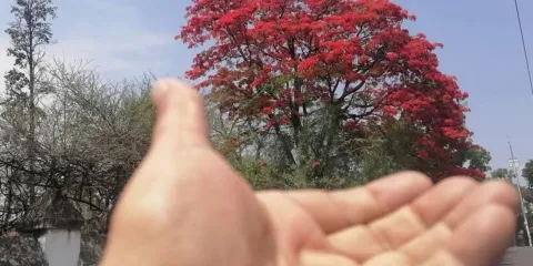 Hacer realidad los sueños colectivos