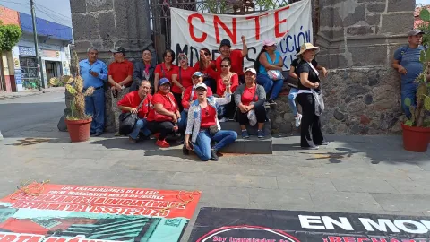 CNTE LDH