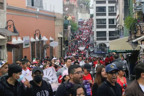 CNTE LDH
