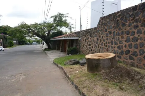 LDH