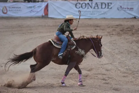 RODEOLDH