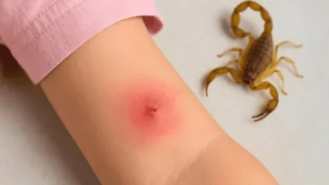 Cortesía