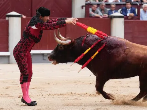 Cortesía