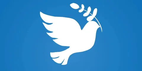 La cultura por sí sola, crea espacios de paz