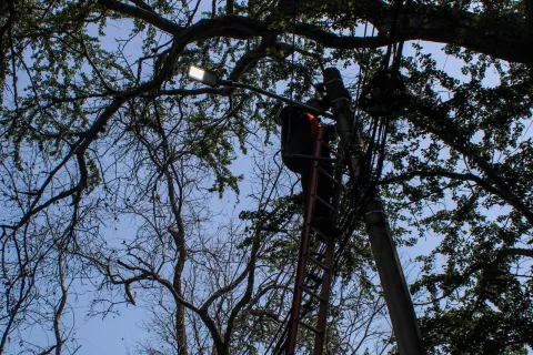 Cuernavaca rehabilitó al 100% el alumbrado público de la avenida Palmira mediante el programa Iluminando Cuernavaca, con trabajos de mantenimiento e instalación de luminarias.