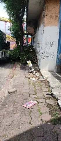 Cortesía