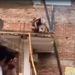 Albañil muere electrocutado al caer sobre cables de alta tensión en Narkel Bagan