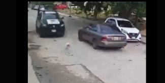 VIDEO FUERTE. Patrulla atropella a perro callejero y sigue su camino