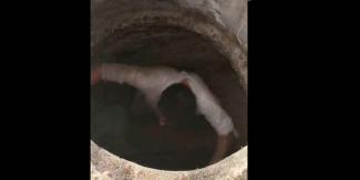 VIDEO. Joven quedó atrapado en la alcantarilla por tres días 