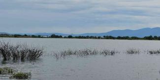 Temporada de lluvias ha sido buena y permitirá hacer frente a estiaje: CEAGUA