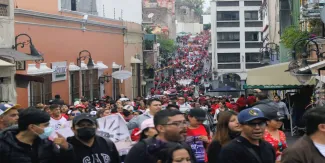 CNTE LDH