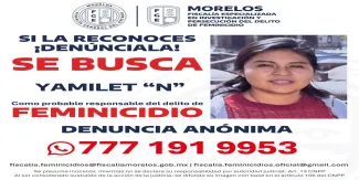 Ficha de búsqueda