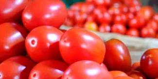 Inflación aumenta a 3.42% en la primera mitad de septiembre; jitomate y colegiaturas elevan los precios