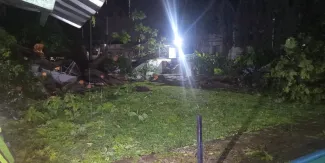 Bomberos realizaron maniobras de corte y retiro tras daños en una barda de la colonia Gabriel Tepepa.