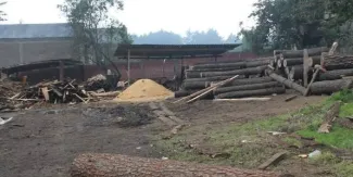 Huitzilac es prioritario por su ubicación en el Bosque de Agua y la incidencia de tala clandestina