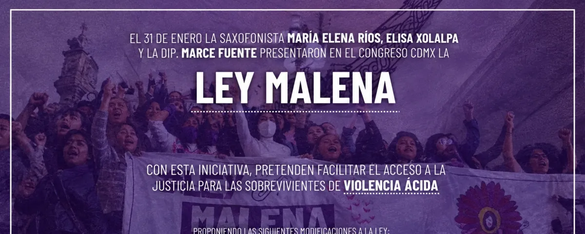 Diputada pide aplicar Ley Malena en feminicidio de María de los Ángeles