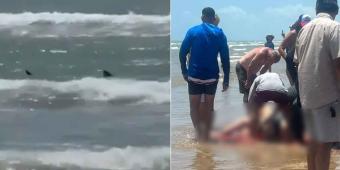 Dos bañistas son atacados por el animal marino en Texas