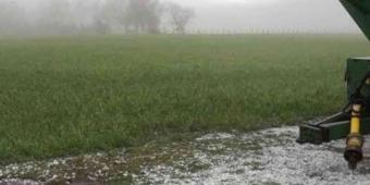 Lluvias, salvavidas para siembra de temporal y riego: Ceagua