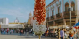 Confirman suspensión de venta de elotes en Cuernavaca